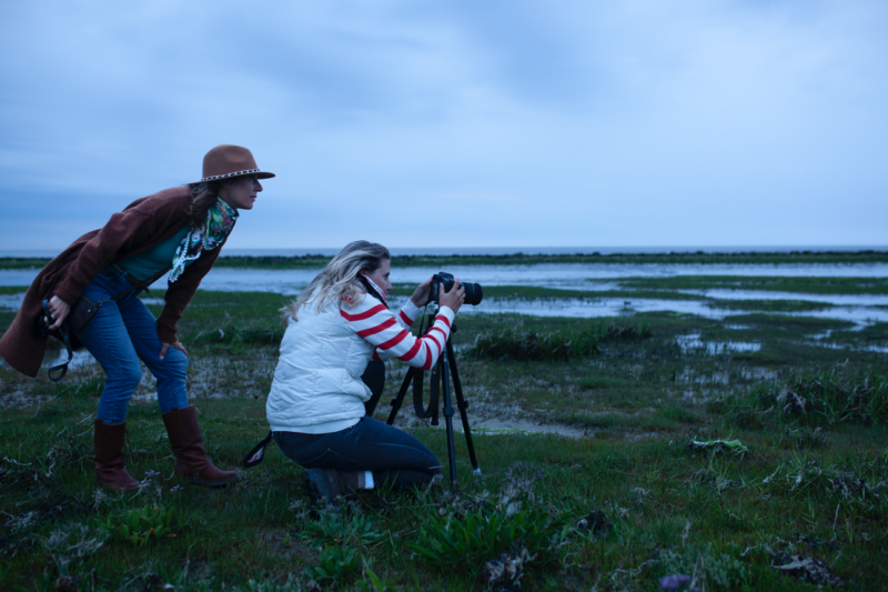 fotograferen landschap - meet in friesland - night sky