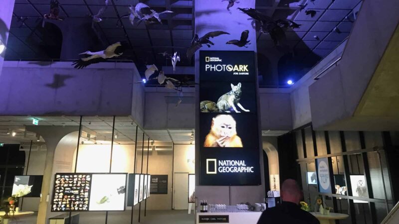 National Geographic tentoonstelling bij Museon