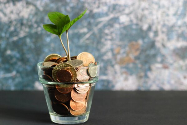 Groen plantje met muntgeld