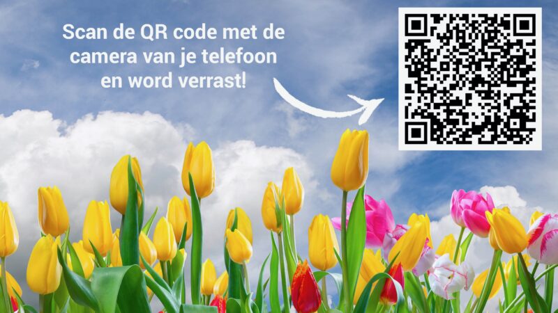 EventZ tulpen en een QR code