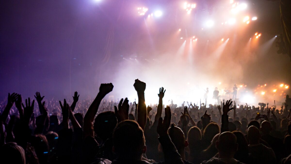 Uitzinnige menigte tijdens concert op festival - Taskforce