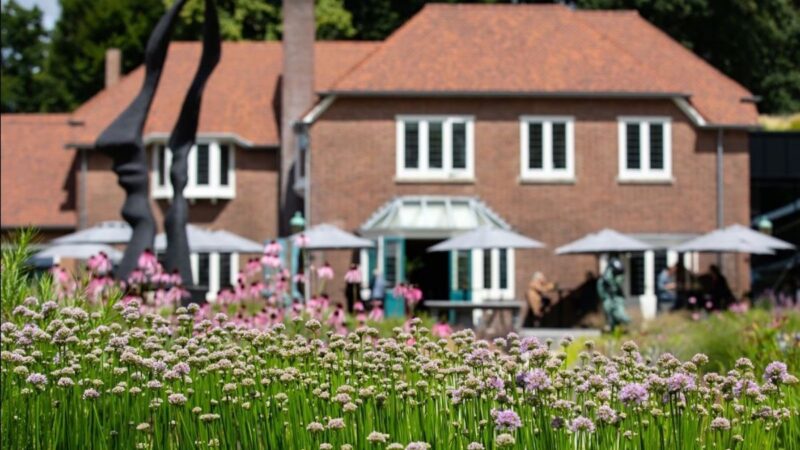 Bloemen in de tuin van Singer Laren