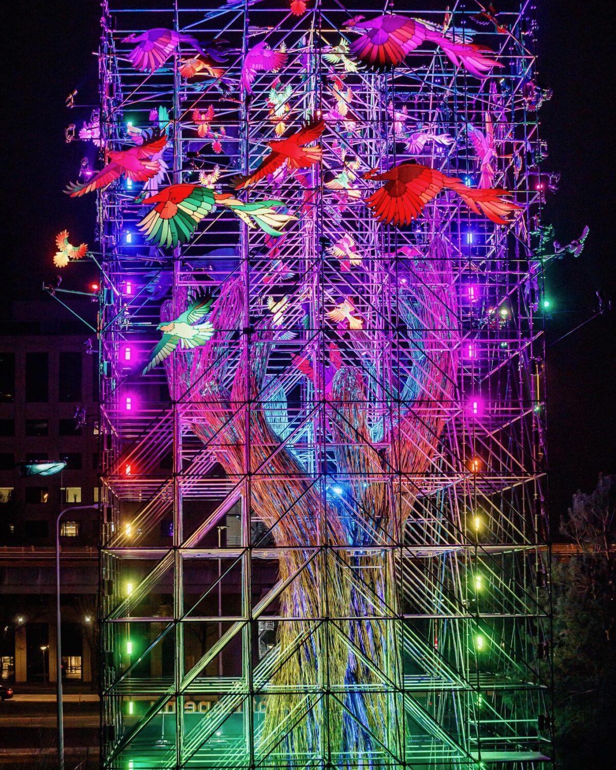 Tree of Hope ode aan de festivalmakers kunstwerk in het donker met gekleurde regenboog lichten (foto-Bart heemskerk)