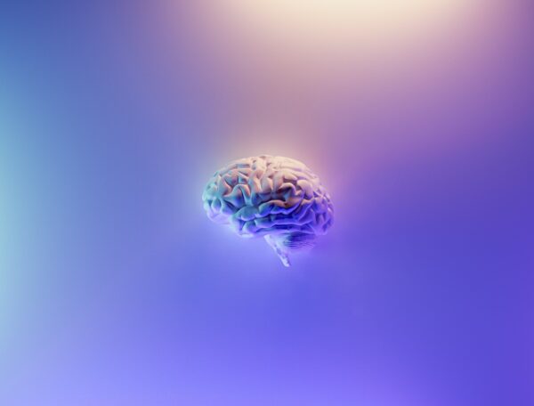 Hersenen met paars licht