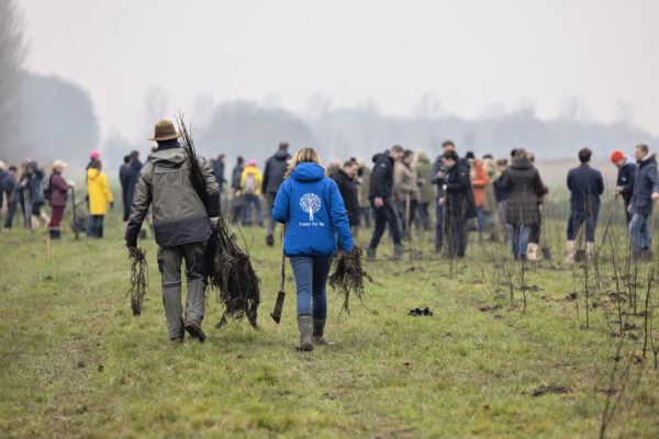 Koninklijke Jaarbeurs plant samen met Trees for all nieuw bos