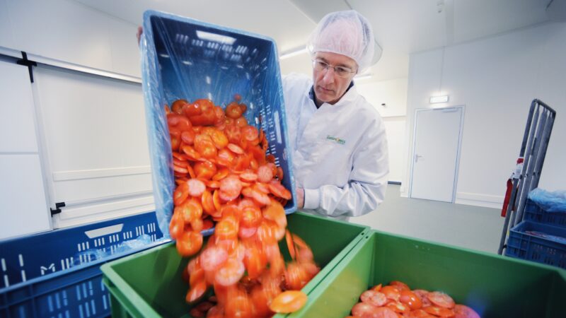 Hutten Food & Design - tomaten - Productie DeVerspillingsfabriek_EWalvisch