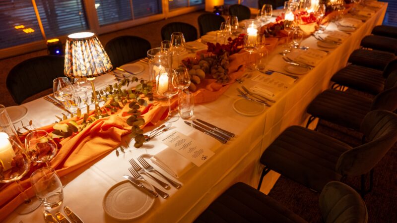 Van Der Linde _ Day at the park