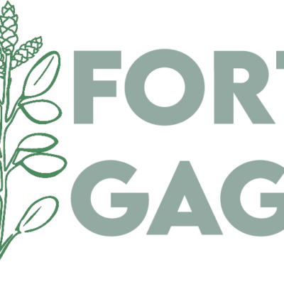 Logo Fort de Gagel